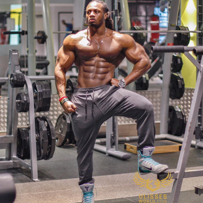 Ulisses Training Program